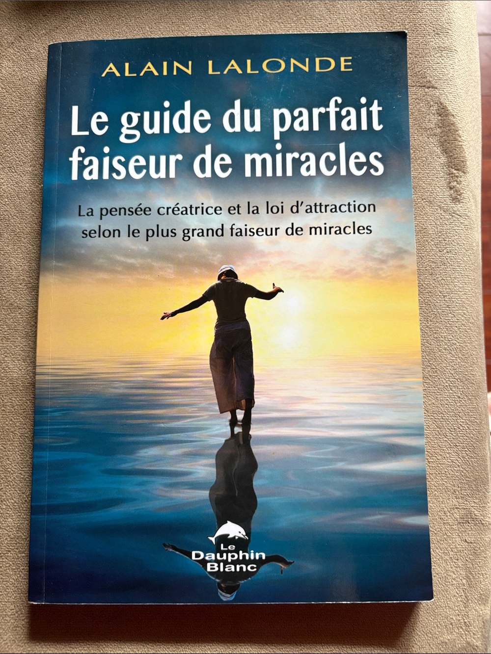 Le guide du parfait faiseur de miracles - Blue/Yellow Cover